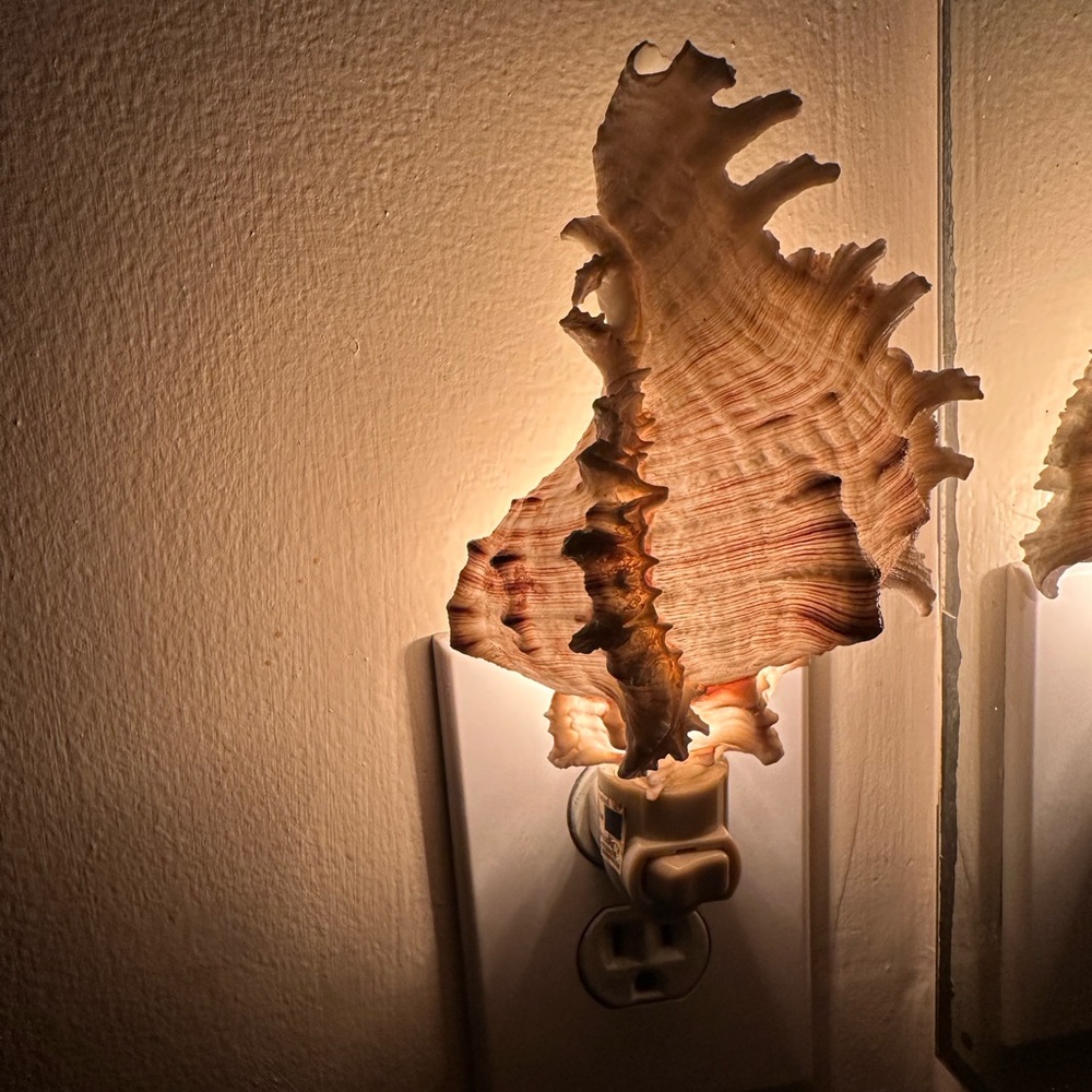 Seashell Night Light
